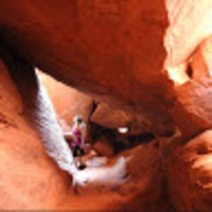 Meet your Posher, Michelle